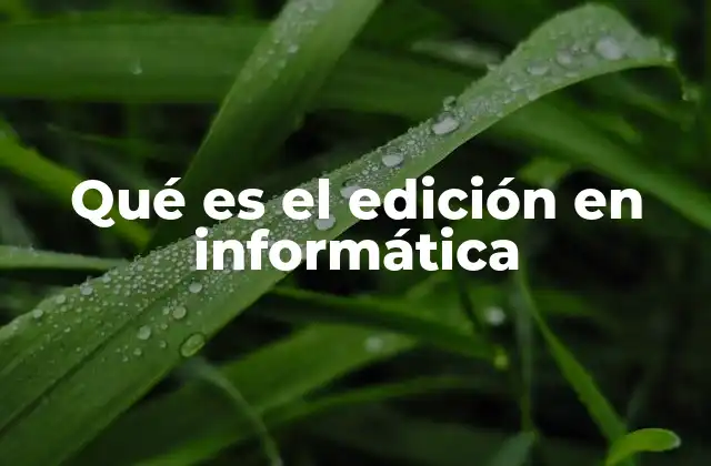 Qué es el Edición en Informática