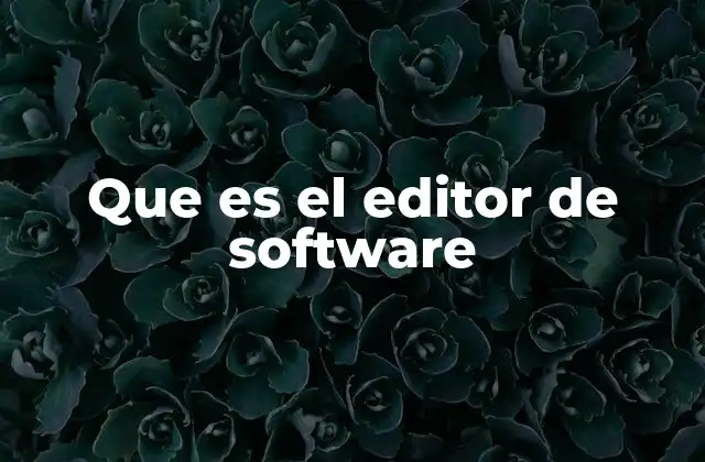 Que es el Editor de Software