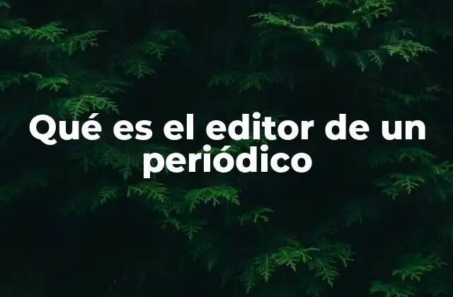 Qué es el Editor de un Periódico