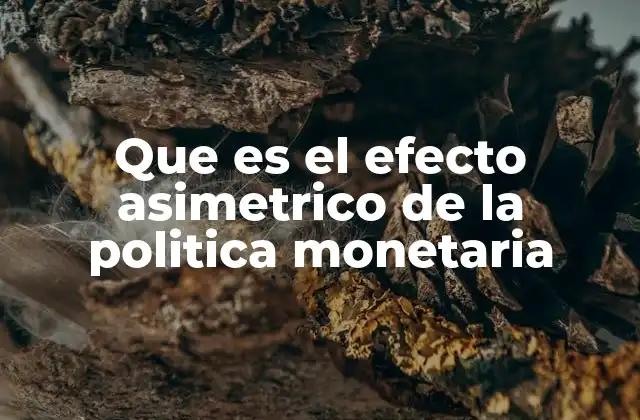 Que es el Efecto Asimetrico de la Politica Monetaria