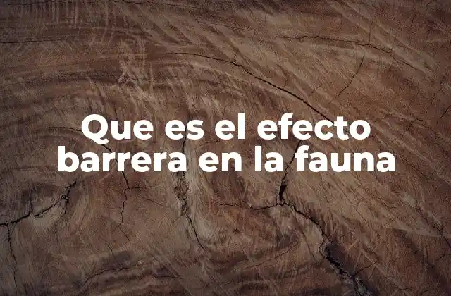 Que es el Efecto Barrera en la Fauna 2 El impacto de las estructuras humanas en la movilidad animal