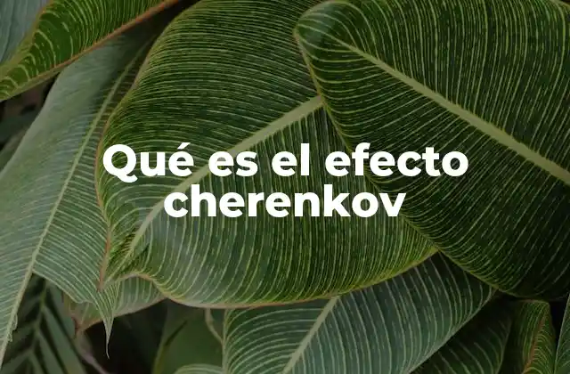 Qué es el Efecto Cherenkov