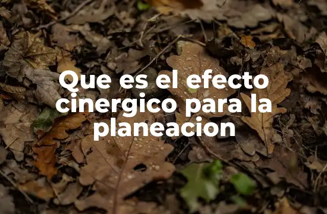 Que es el Efecto Cinergico para la Planeacion