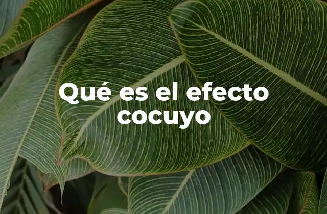 Qué es el Efecto Cocuyo 2 El impacto invisible de la imitación colectiva