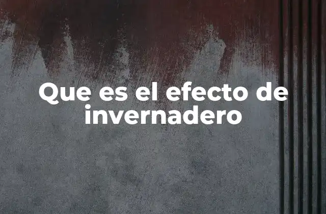 Que es el Efecto de Invernadero