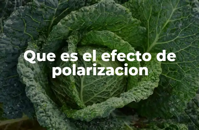 Que es el Efecto de Polarizacion