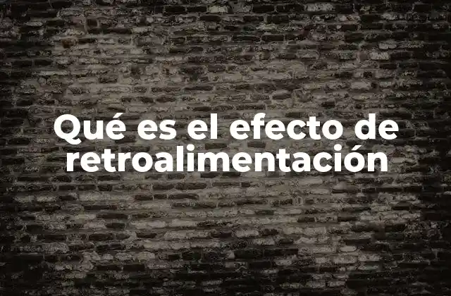 Qué es el Efecto de Retroalimentación