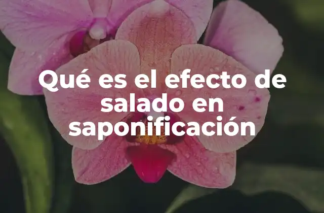 El papel del cloruro de sodio en la separación del jabón