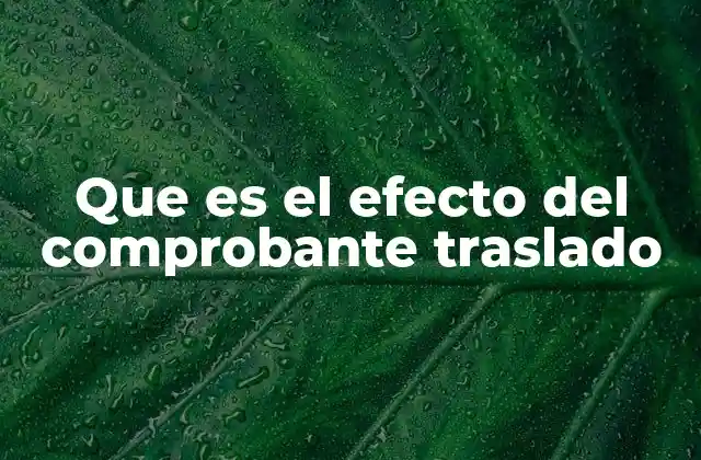 El papel del comprobante traslado en el sistema tributario