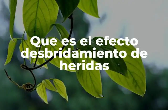Que es el Efecto Desbridamiento de Heridas 2 El rol del desbridamiento en la curación de heridas crónicas