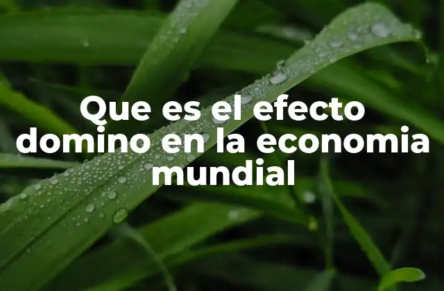 Que es el Efecto Domino en la Economia Mundial