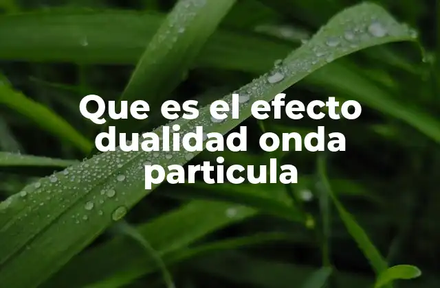 Que es el Efecto Dualidad Onda Particula 2 La dualidad onda-partícula y la base de la mecánica cuántica