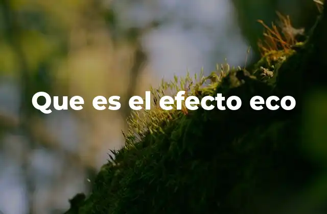 Que es el Efecto Eco