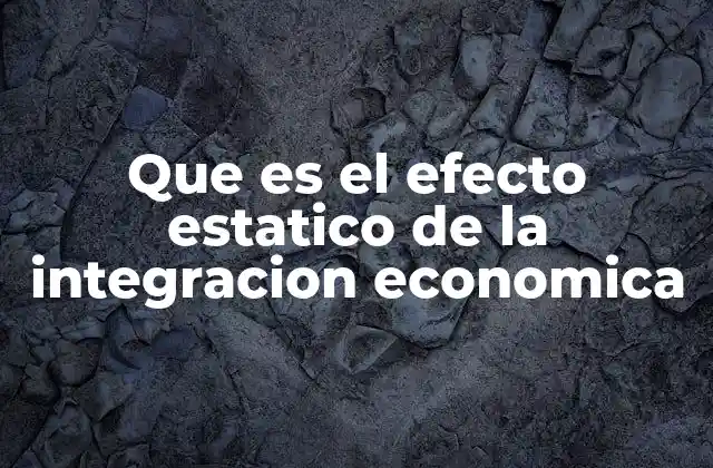 Que es el Efecto Estatico de la Integracion Economica