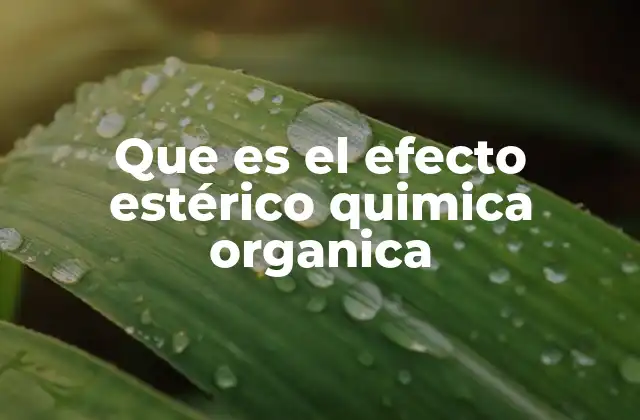 La influencia del tamaño molecular en las interacciones químicas