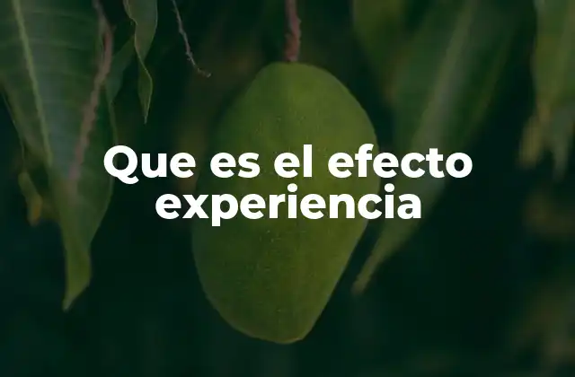 Que es el Efecto Experiencia