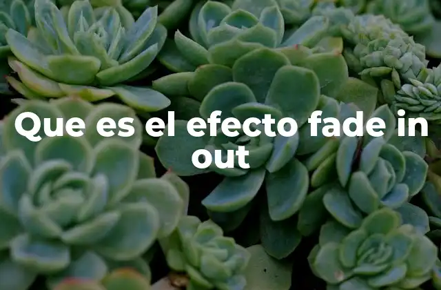 Aplicaciones del efecto fade en el diseño digital