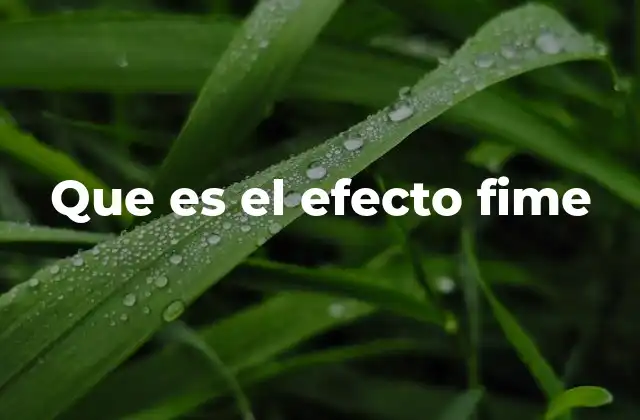 Que es el Efecto Fime
