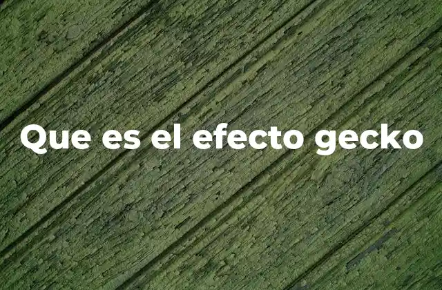 Que es el Efecto Gecko