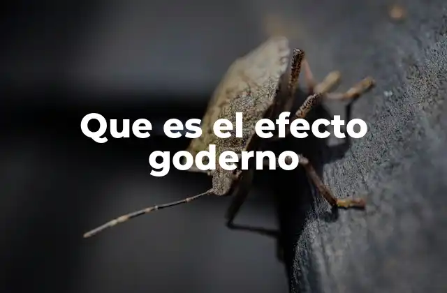Que es el Efecto Goderno