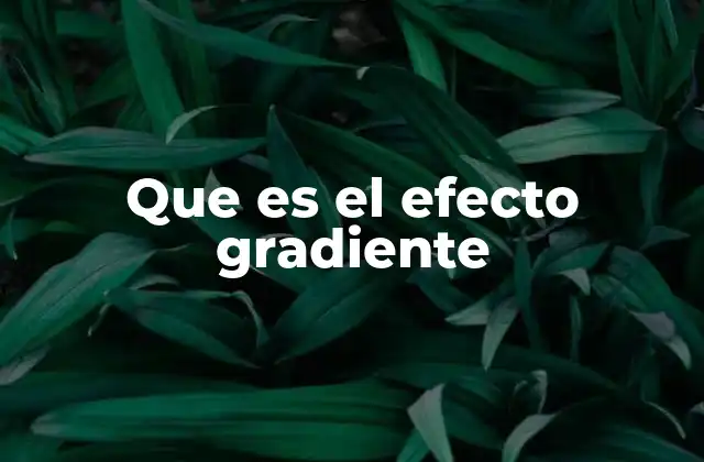 Que es el Efecto Gradiente