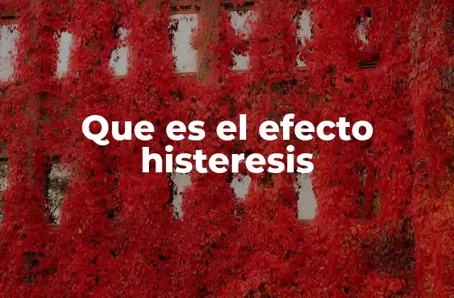 Que es el Efecto Histeresis