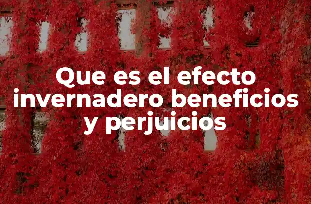 Que es el Efecto Invernadero Beneficios y Perjuicios 2 El equilibrio natural y la perturbación humana
