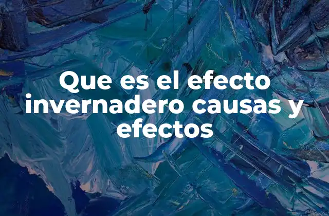 Que es el Efecto Invernadero Causas y Efectos