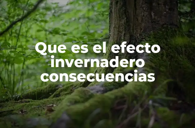 Que es el Efecto Invernadero Consecuencias