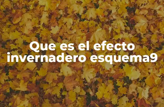 Que es el Efecto Invernadero Esquema9