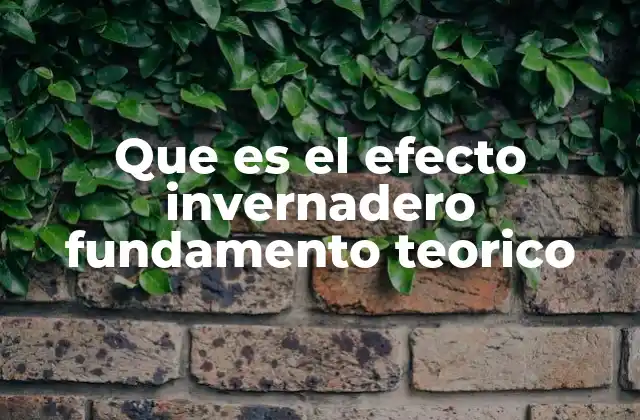 Que es el Efecto Invernadero Fundamento Teorico