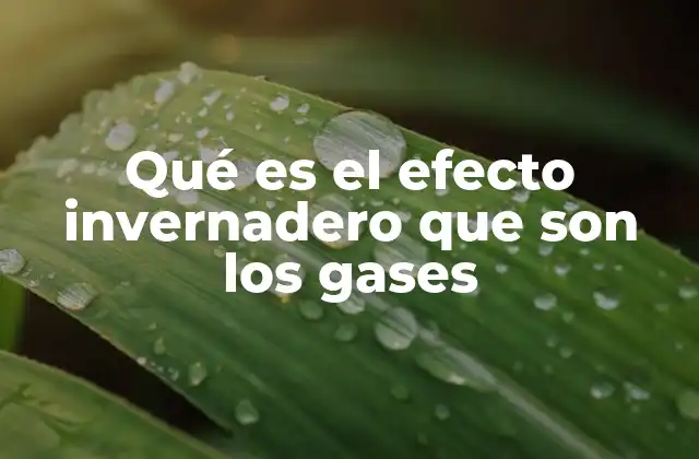 Qué es el Efecto Invernadero que Son los Gases