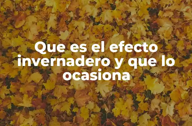 Que es el Efecto Invernadero y que Lo Ocasiona