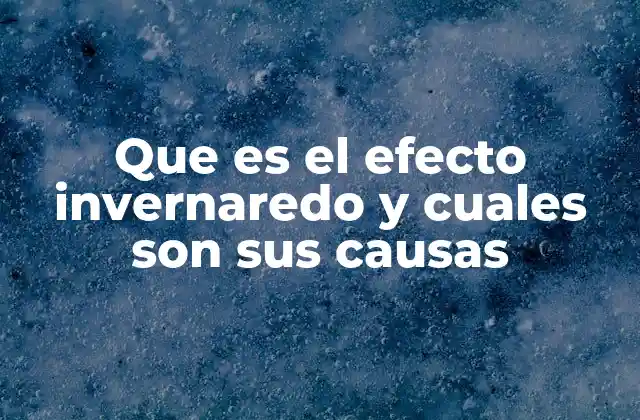 Que es el Efecto Invernaredo y Cuales Son Sus Causas 2 Cómo funciona el efecto invernadero de forma natural