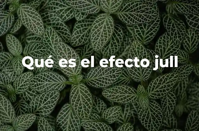 Qué es el Efecto Jull
