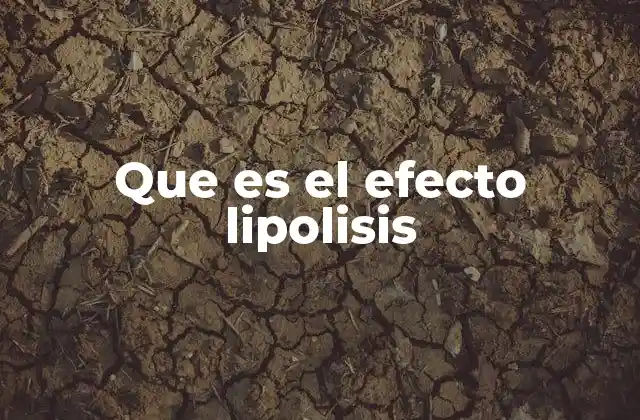Que es el Efecto Lipolisis