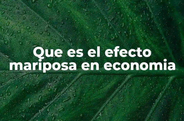 Que es el Efecto Mariposa en Economia