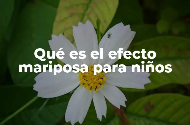 Qué es el Efecto Mariposa para Niños