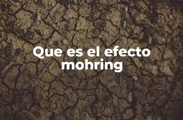 Cómo el efecto Mohring influye en la planificación urbana