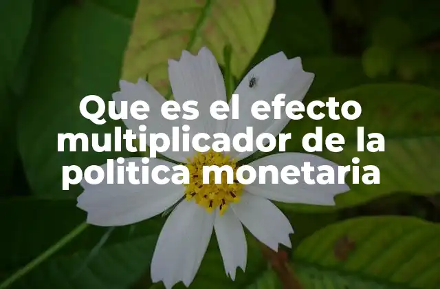 Que es el Efecto Multiplicador de la Politica Monetaria