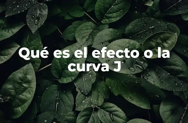 Qué es el Efecto o la Curva J