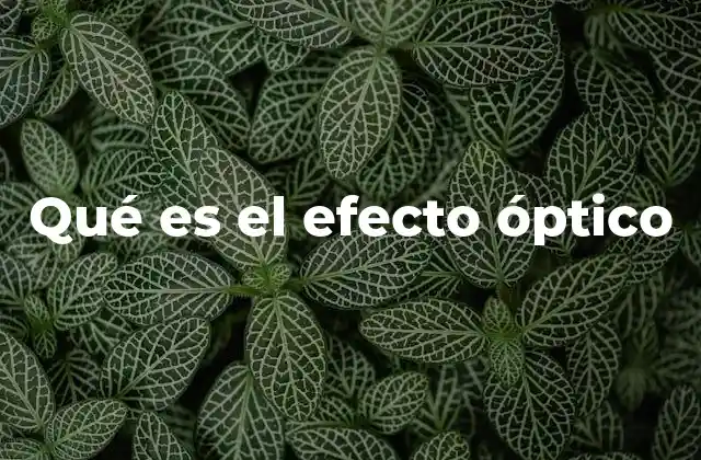 Qué es el Efecto Óptico