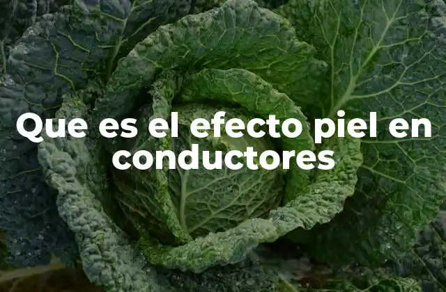 Que es el Efecto Piel en Conductores