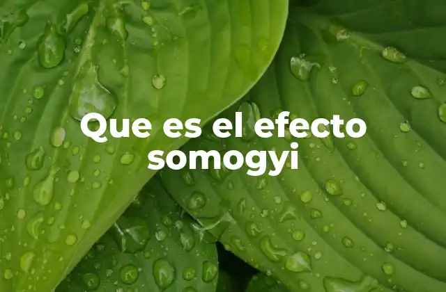 Que es el Efecto Somogyi