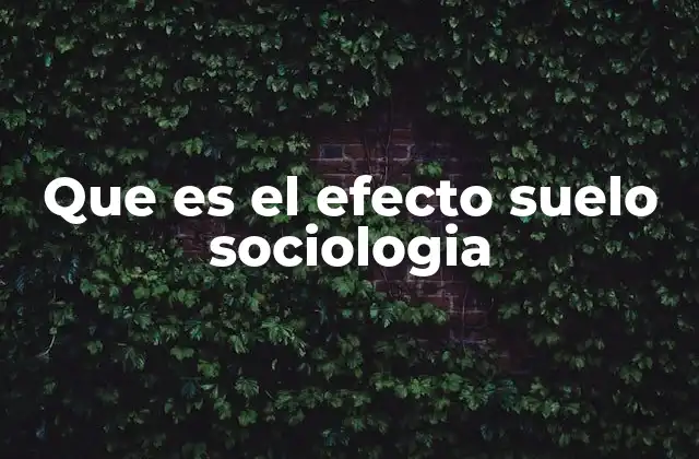Que es el Efecto Suelo Sociologia