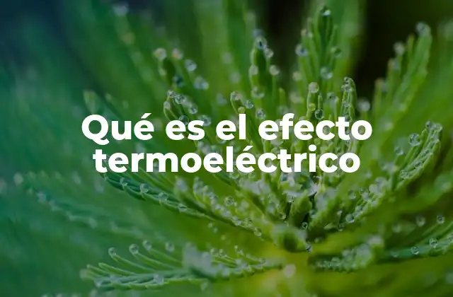 Qué es el Efecto Termoeléctrico