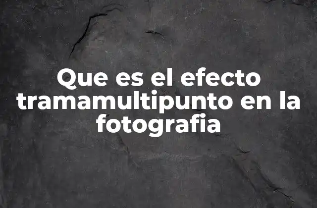 Que es el Efecto Tramamultipunto en la Fotografia