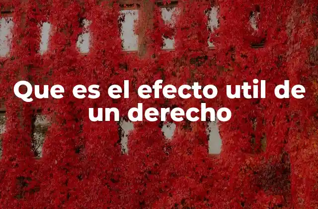 Que es el Efecto Util de un Derecho