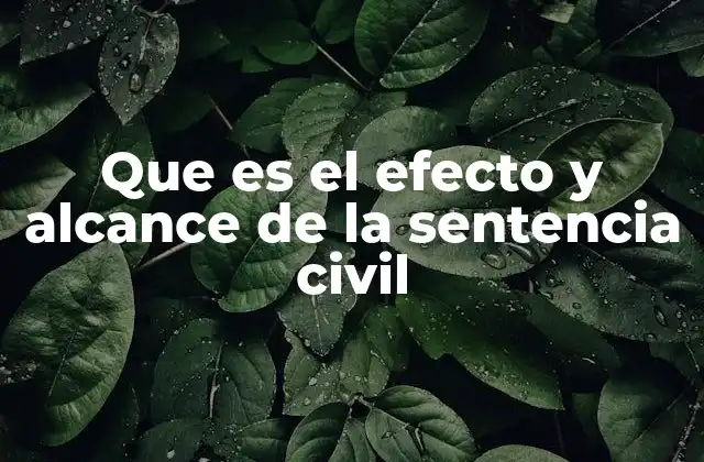 Que es el Efecto y Alcance de la Sentencia Civil