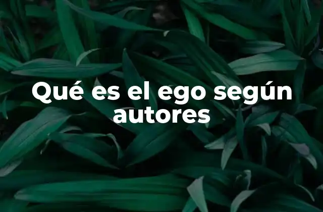 Qué es el Ego según Autores